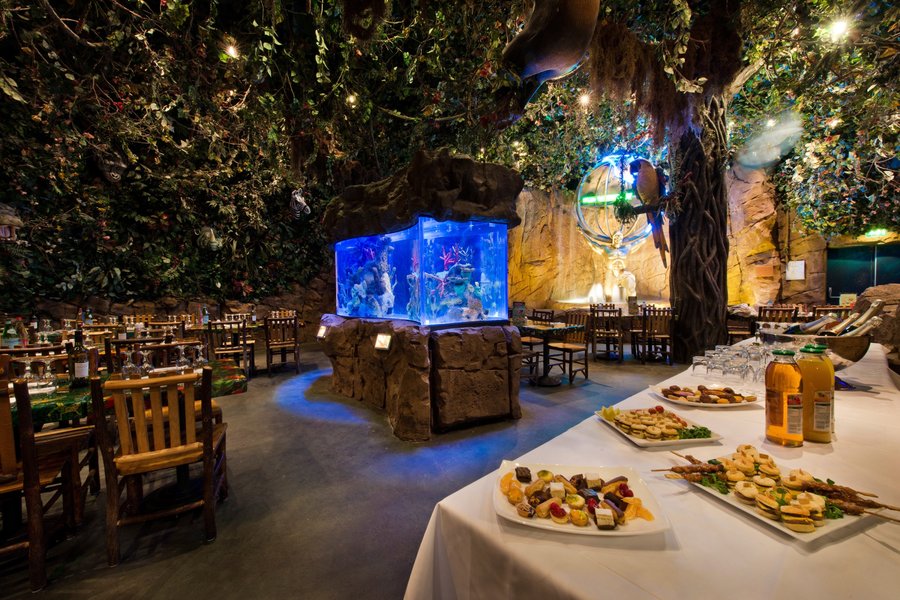 rainforest cafe