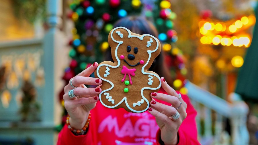 dlp-snacks-kerstmis-2024-1