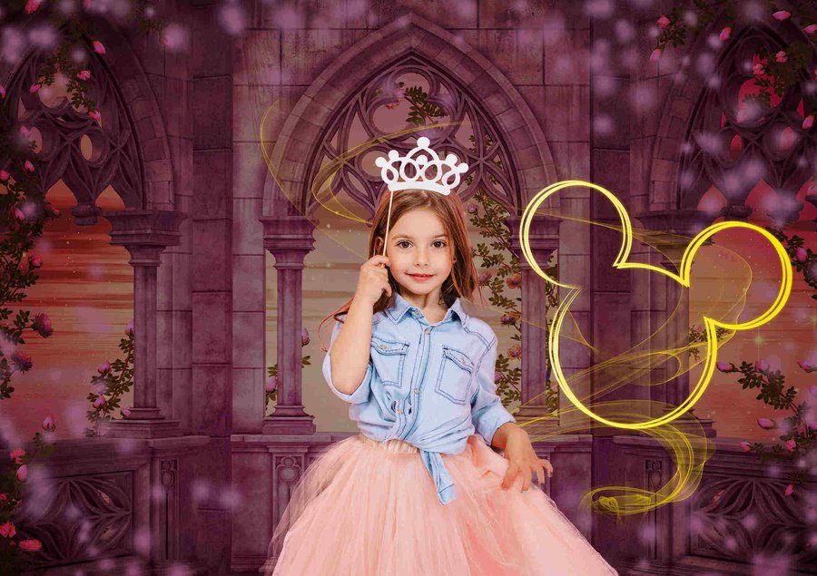 dlp princess